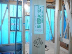 DSCN0015.JPG