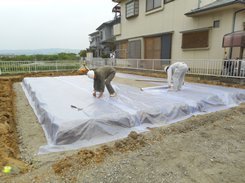 DSCN0091.JPG