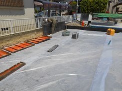DSCN0136.JPG