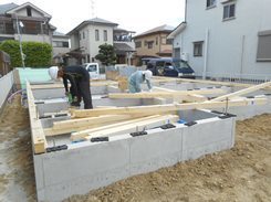DSCN0581.JPG
