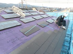 DSCN0651.JPG