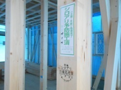 DSCN1010.JPG