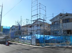DSCN2113.JPG