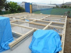DSCN3078.JPG