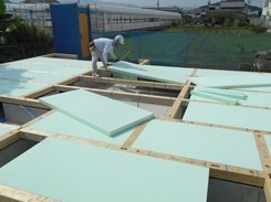 DSCN3096.JPG
