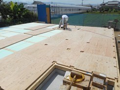DSCN3118.JPG