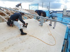 DSCN3278.JPG