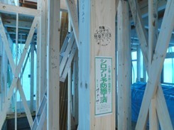 DSCN3573.JPG