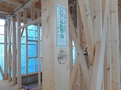 DSCN3781.JPG