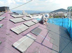 DSCN3994.JPG