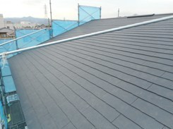 DSCN4040.JPG