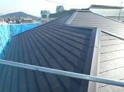 DSCN4130.JPG