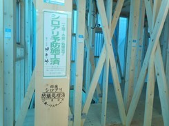 DSCN4724.JPG