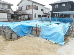 DSCN4833.JPG