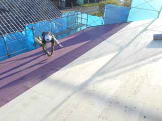 DSCN4996.JPG