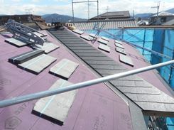 DSCN5076.JPG