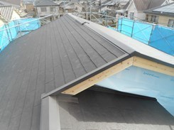 DSCN5134.JPG