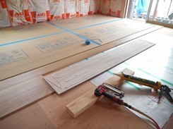DSCN5166.JPG
