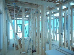 DSCN5205.JPG