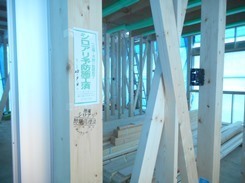 DSCN5230.JPG