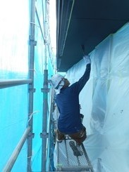 DSCN5246.JPG