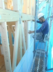 DSCN5338.JPG