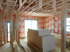 DSCN5475.JPG