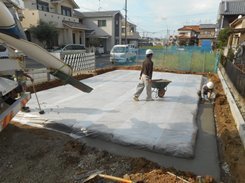 DSCN5651.JPG