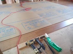 DSCN6002.JPG