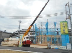 DSCN6147.JPG