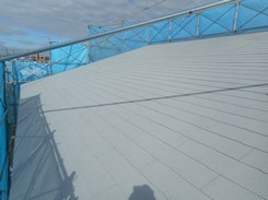 DSCN6293.JPG