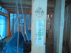 DSCN6696.JPG