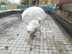 DSCN6717.JPG
