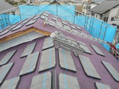 DSCN7347.JPG