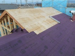 DSCN7551.JPG