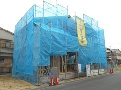 DSCN7598.JPG