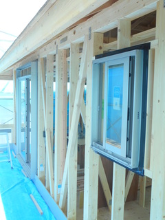 DSCN8498.JPG