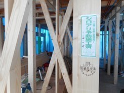 DSCN8856.JPG