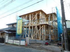 DSCN9233.JPG