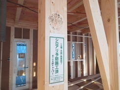 ③IMG_6995.JPG