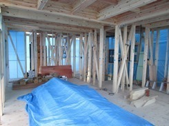 IMG_5904.JPG