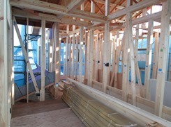 IMG_5913.JPG