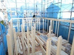 IMG_6918.JPG