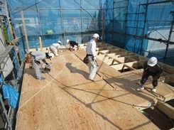 IMG_6971.JPG