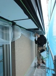 IMG_7012.JPG