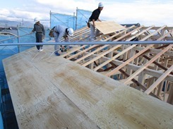 IMG_7105.JPG