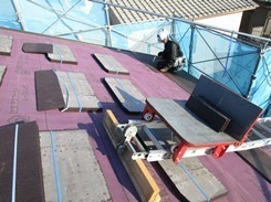 IMG_7684.JPG