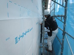 IMG_7851.JPG