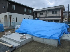 IMG_8594.JPG