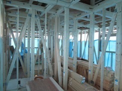 IMG_9644.JPG